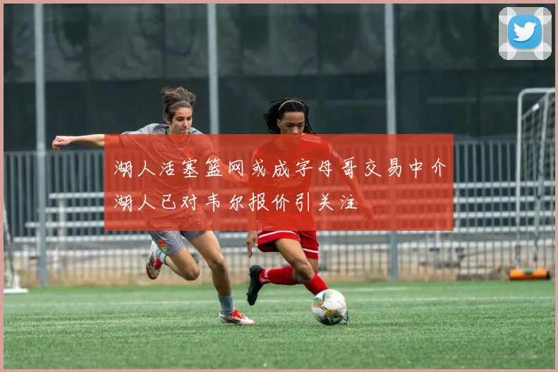 湖人活塞篮网或成字母哥交易中介湖人已对韦尔报价引关注